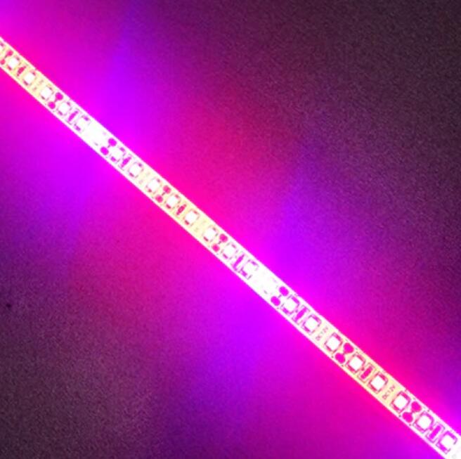 Plant Growth RED:BLUE /660nm:460nm LED Grow Light SMD2835 120LEDs 12V 24W Per Meter Strip