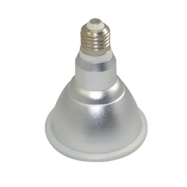 Outdoor PAR30 LED Light Bulb 12W 800Lumen (80W Equivalent) 120-degree Flood Beam E27/E26 Non-Dimmable Waterproof IP65 Par Light