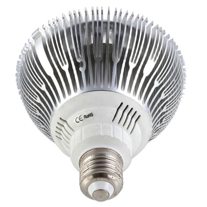 12W (12x1W) PAR38 LED Lamp with E27 Edison Screw Base 90W Equivalent 100-240V AC Silver Housing Indoor Type