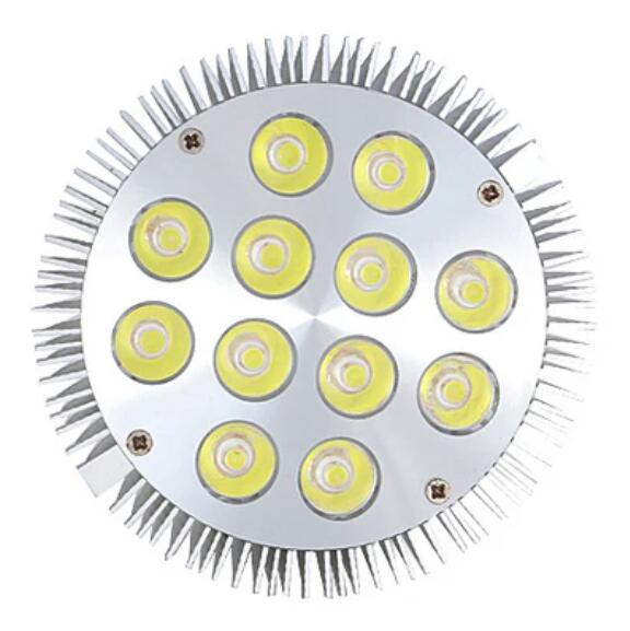12W (12x1W) PAR38 LED Lamp with E27 Edison Screw Base 90W Equivalent 100-240V AC Silver Housing Indoor Type