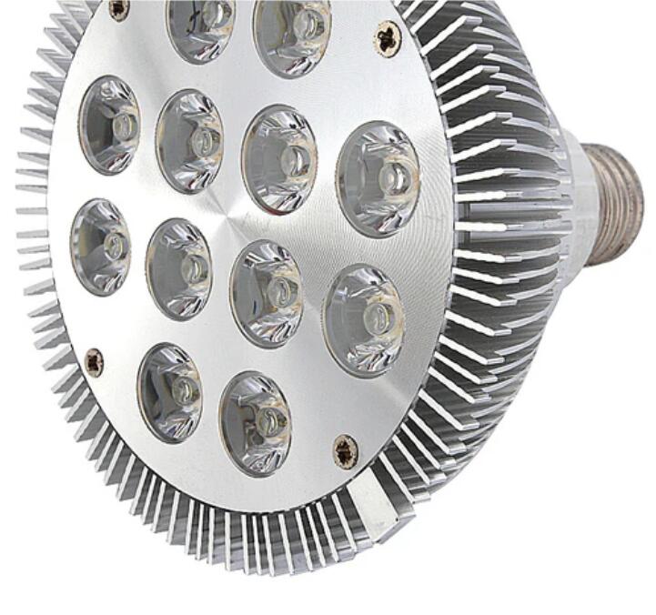 12W (12x1W) PAR38 LED Lamp with E27 Edison Screw Base 90W Equivalent 100-240V AC Silver Housing Indoor Type