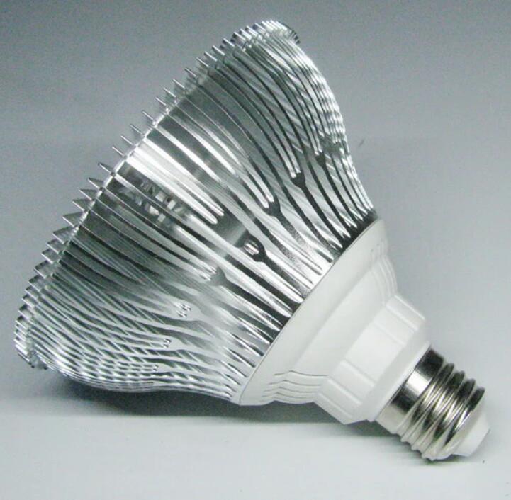 12W (12x1W) PAR38 LED Lamp with E27 Edison Screw Base 90W Equivalent 100-240V AC Silver Housing Indoor Type