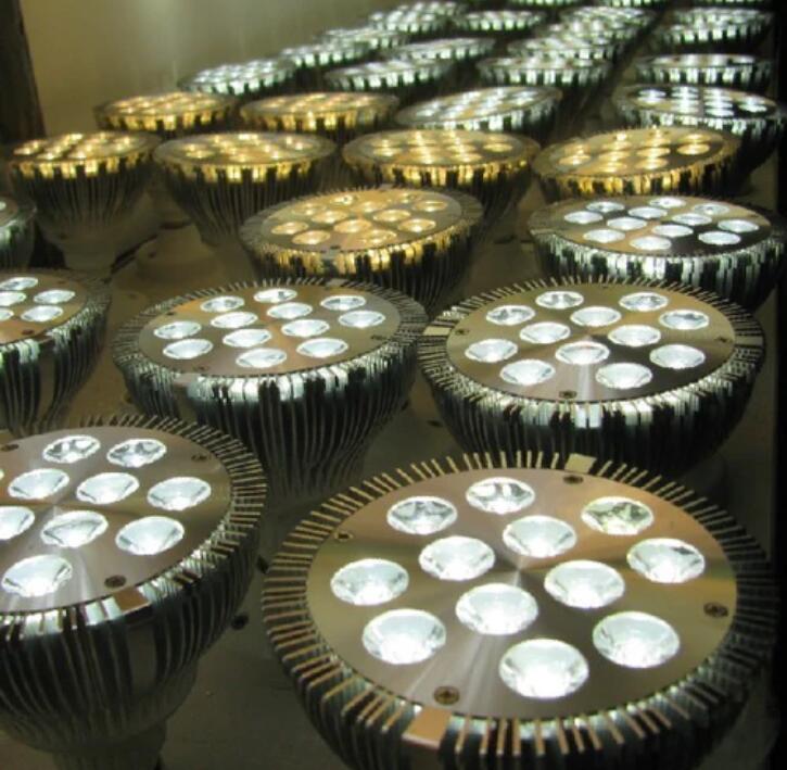 12W (12x1W) PAR38 LED Lamp with E27 Edison Screw Base 90W Equivalent 100-240V AC Silver Housing Indoor Type