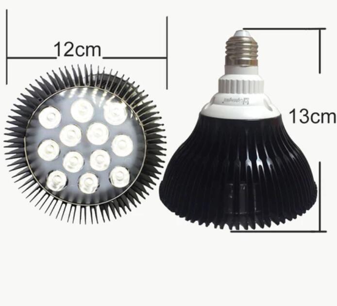 12W (12x1W) PAR38 LED Lamp with E27 Edison Screw Base 90W Equivalent 100-240V AC Silver Housing Indoor Type