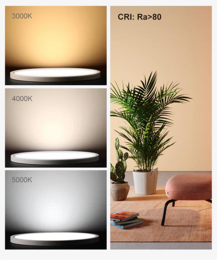 2 Pack 12 Inch Modern LED Ceiling Light Flush Mount 24W Kitchen Bedroom Bathroom Lamp