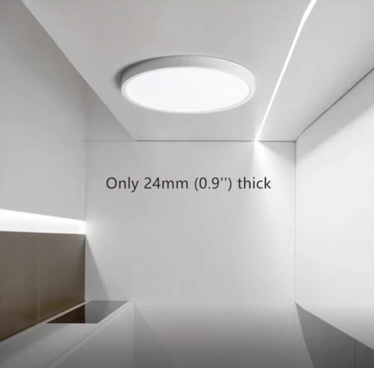 2 Pack 12 Inch Modern LED Ceiling Light Flush Mount 24W Kitchen Bedroom Bathroom Lamp