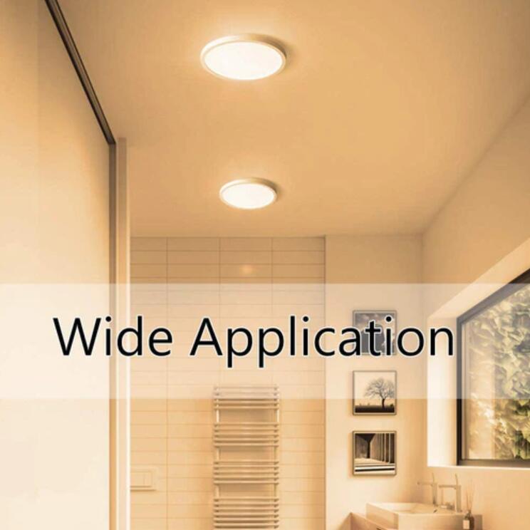 2 Pack 12 Inch Modern LED Ceiling Light Flush Mount 24W Kitchen Bedroom Bathroom Lamp