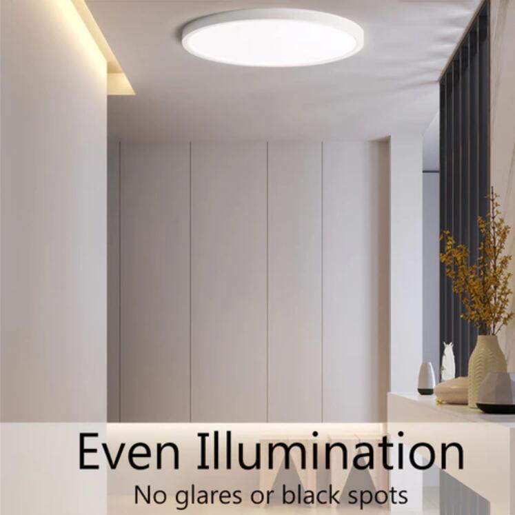 2 Pack 12 Inch Modern LED Ceiling Light Flush Mount 24W Kitchen Bedroom Bathroom Lamp