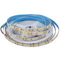 24V2835 10MM LED STRIP LIGHT 120LEDS/METER LOW VOLTAGE HIGH BRIGHTNESS STRIP LIGHT 10M (32.8FT) 1200LEDS 2835STRIP LIGHTSS