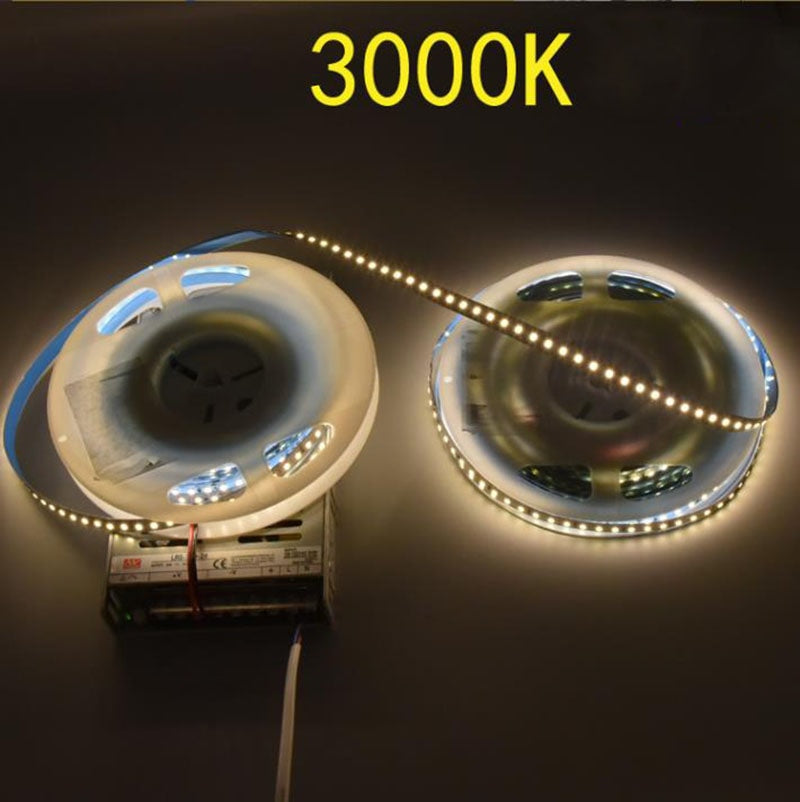 24V2835 10MM LED STRIP LIGHT 120LEDS/METER LOW VOLTAGE HIGH BRIGHTNESS STRIP LIGHT 10M (32.8FT) 1200LEDS 2835STRIP LIGHTSS