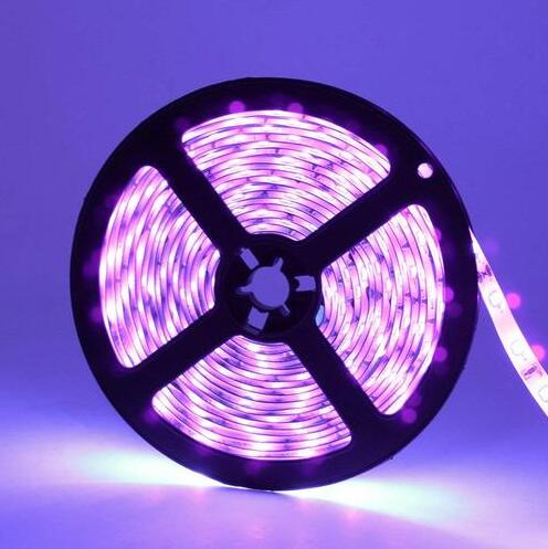 24 W 16.4FT/5M UV 2835 3528 300LEDs 395nm-405nm Night FishingLight LED Strip