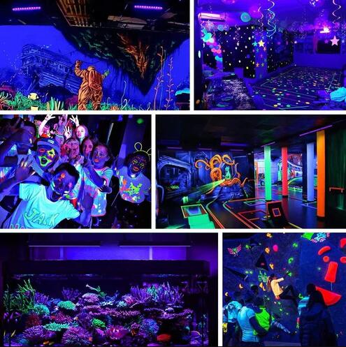 2 Pack Black Lights - 60W 385-400nm AC85-265V Upgraded LED Flood Light with Switch, Waterproof IP66 for Glow Party, Stage Lighting, Aquarium, Glow in The Dark, Body Paint, Fluorescent Poster, Neon Glow