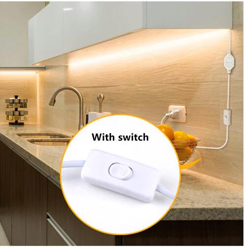 32.8Feet 110V AC / 220V AC Spotless FCOB LED Flexible Strip Light, IP65 Waterproof High Brightness with Inline Switch