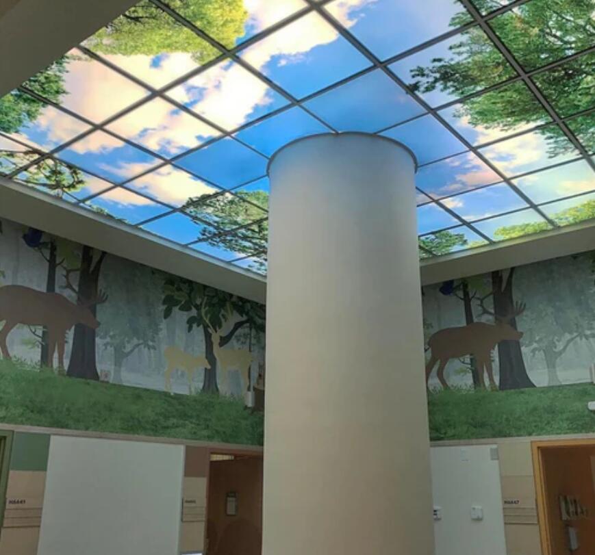 5 PACK LED Skylight 2x2 FT - 600*600mm 36W 3060LM LED Shop Display Blue Sky LED Flat Panel Light Framed For Ceiling Decoration