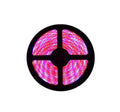 Plant Growth RED:BLUE /660nm:460nm LED Grow Light SMD5050 60LEDs 12V 14.4W Per Meter Strip