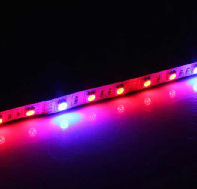 Plant Growth RED:BLUE /660nm:460nm LED Grow Light SMD5050 60LEDs 12V 14.4W Per Meter Strip