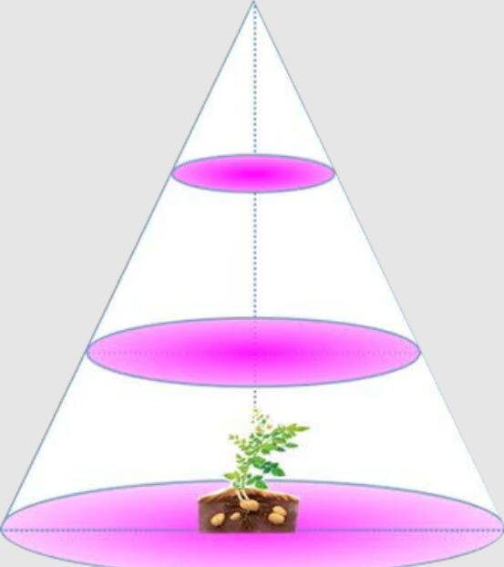 Plant Growth RED:BLUE /660nm:460nm LED Grow Light SMD5050 60LEDs 12V 14.4W Per Meter Strip