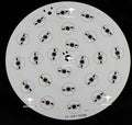 24W 18W LED High Power Aluminum Plate Diameter 190mm Ceiling Light Plate