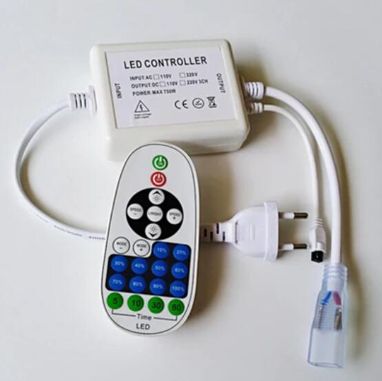 750Watt LED Dimmer for AC110V/220V LED Strip Light, Wireless Remote Control Dimmer with 2 Prong Outlet, Timer Switch