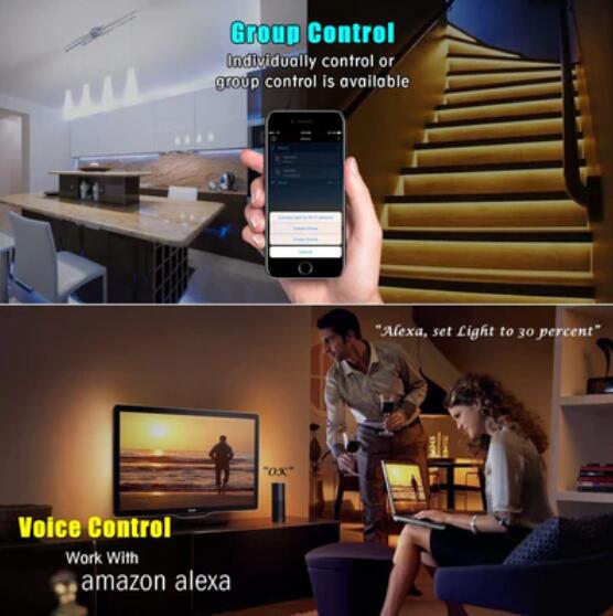 CROW Bluetooth RF Controller for Addressable Digital LED Lights via Tuya App, Compatible w/ Amazon Echo