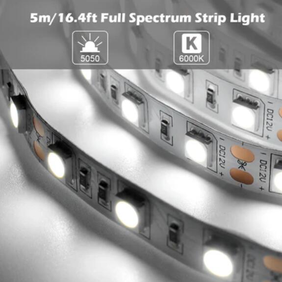 16.4FT 5Meter SMD5050 300LED 12V 60W True Color CRI95+ Full Spectrum Natural Light LED Strip Light