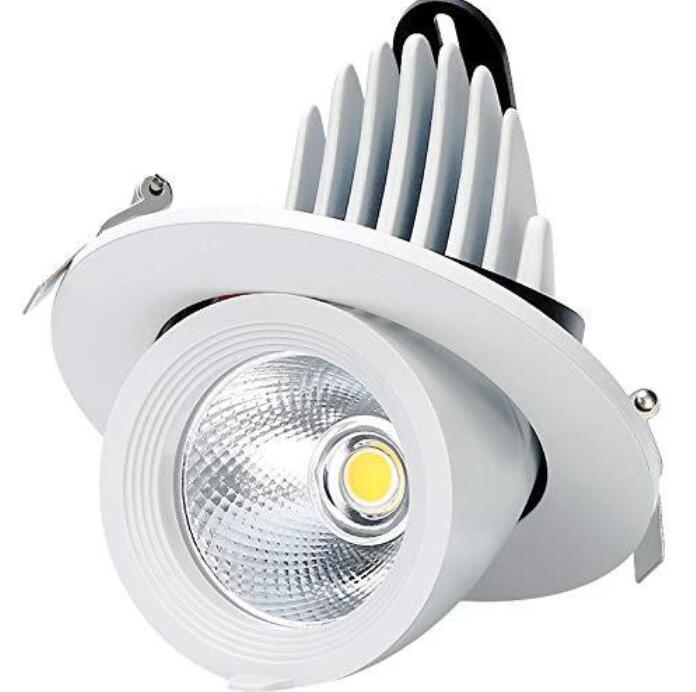10W / 18W / 24W Home Design Roof Recessed Mounting Fixture Downlights