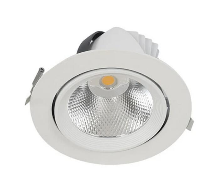 10W / 18W / 24W Home Design Roof Recessed Mounting Fixture Downlights