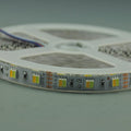 5050 Variable White LED Strip Light  Flexible Non-waterproof 12V Strip Light 5 meter(16.4ft) 300LEDs