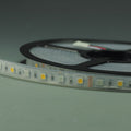 RGB White LED Strip light IP68 5050SMD Color change with white color  5meter(16.4ft) 300LEDs
