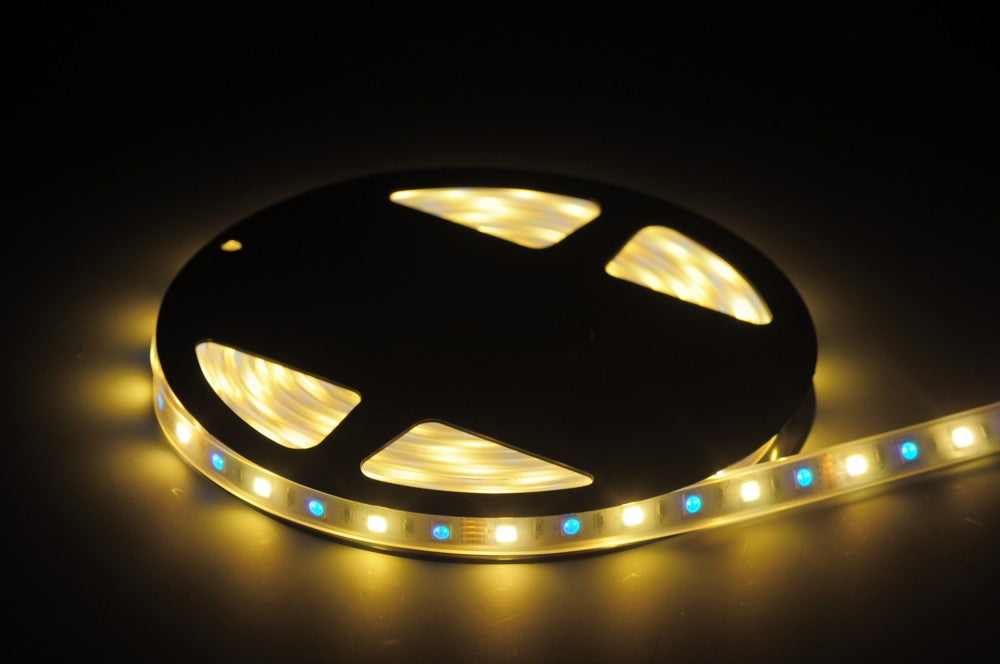 RGB White LED Strip light IP68 5050SMD Color change with white color  5meter(16.4ft) 300LEDs