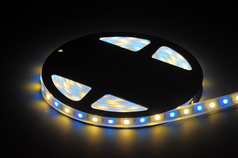 RGB White LED Strip light IP68 5050SMD Color change with white color  5meter(16.4ft) 300LEDs
