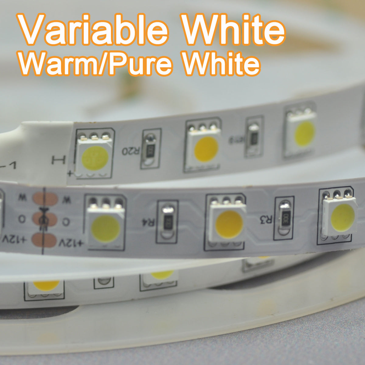 5050 Variable White LED Strip Light  Flexible 12V Strip Light 5 meter(16.4ft) 300LEDs