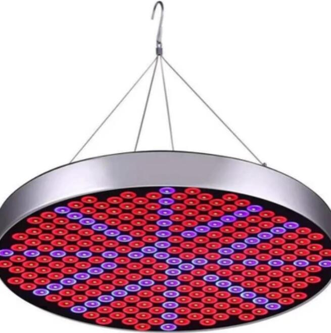 LED Grow Light 50W AC90~265V 250LEDs Round Plant Growing Lamp Red and Blue LED Chips Indoor Greenhouse Plant Grow Indoor Plants LED Lamp