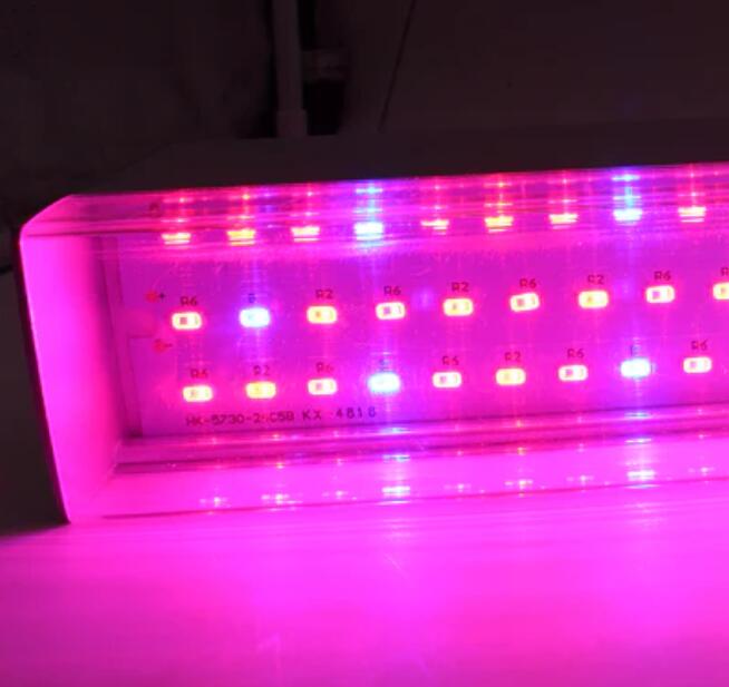 40W 16'' Full Spectrum Linear LED Grow Light Strip 6 Bands with IR & UV included, Adjustable Hanger, Idea for Greenhouse, Vegetables & Fruits, Horticulture, Propagation and City Farming