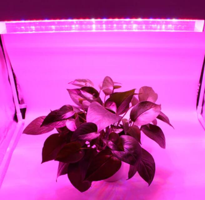 80W 40'' Full Spectrum Linear LED Grow Light Strip 6 Bands with IR & UV included, Adjustable Hanger, Idea for Greenhouse, Vegetables & Fruits, Horticulture, Propagation and City Farming