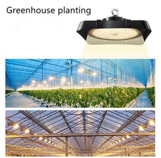 High Power IP65 Full Spectrum LED Grow Flood Lights for Hydroponic and Medical Plant Cultivation