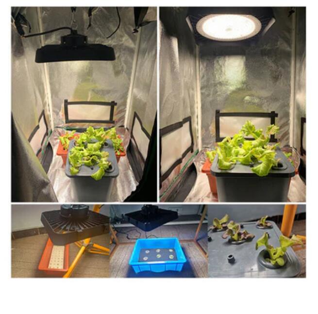 High Power IP65 Full Spectrum LED Grow Flood Lights for Hydroponic and Medical Plant Cultivation
