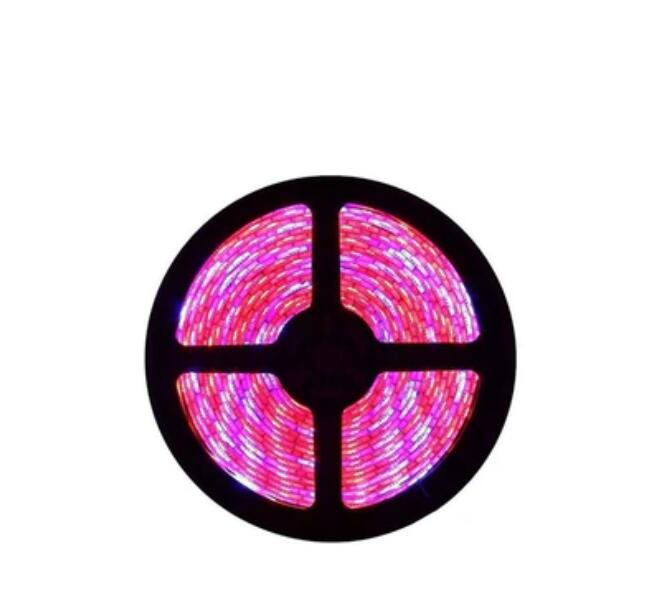 Plant Growth RED:BLUE /660nm:460nm LED Grow Light SMD5050 120LEDs 12V 28.8W Per Meter 15mm Width Strip