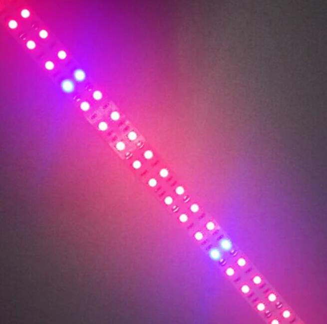 Plant Growth RED:BLUE /660nm:460nm LED Grow Light SMD5050 120LEDs 12V 28.8W Per Meter 15mm Width Strip