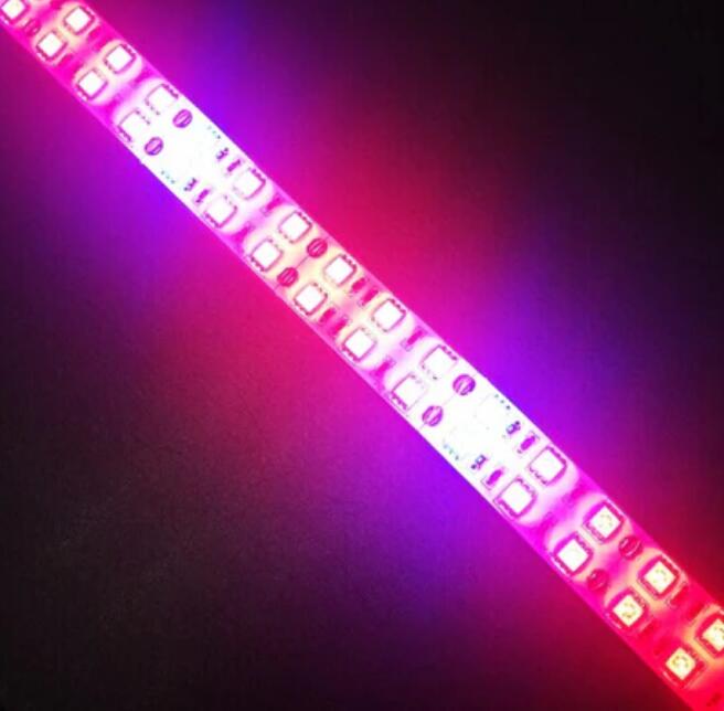 Plant Growth RED:BLUE /660nm:460nm LED Grow Light SMD5050 120LEDs 12V 28.8W Per Meter 15mm Width Strip