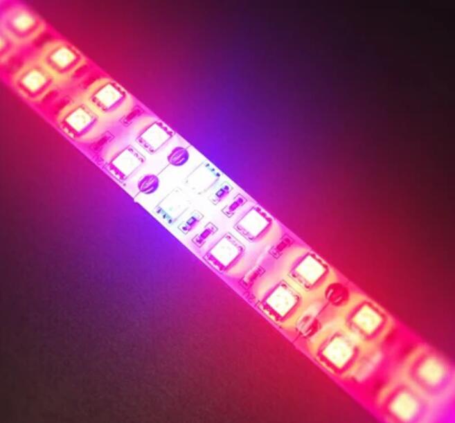 Plant Growth RED:BLUE /660nm:460nm LED Grow Light SMD5050 120LEDs 12V 28.8W Per Meter 15mm Width Strip