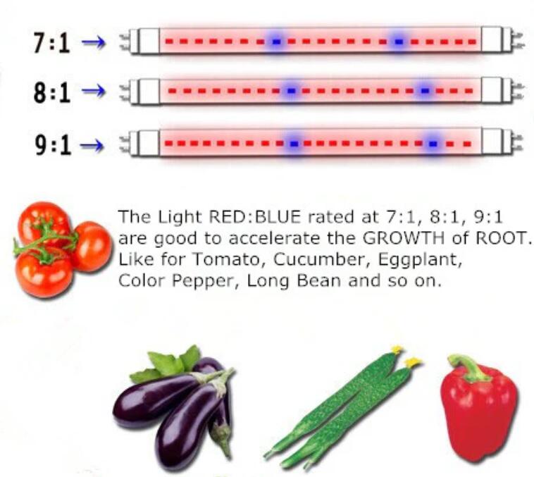 Plant Growth RED:BLUE /660nm:460nm LED Grow Light SMD3528 240LEDs 12V 24W Per Meter Strip