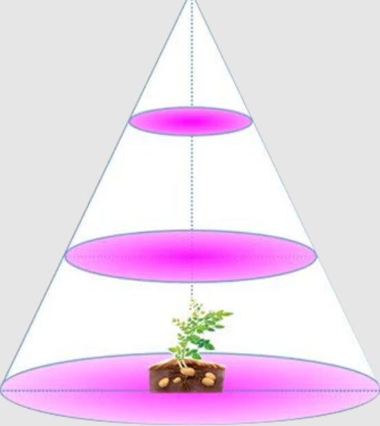 Plant Growth RED:BLUE /660nm:460nm LED Grow Light SMD3528 240LEDs 12V 24W Per Meter Strip