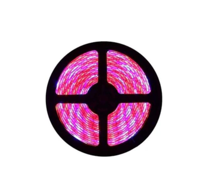 Plant Growth RED:BLUE /660nm:460nm LED Grow Light SMD5050 30LEDs 12V 7.2W Per Meter Strip