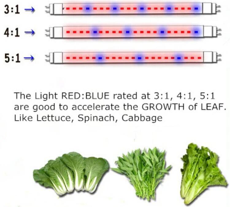 Plant Growth RED:BLUE /660nm:460nm LED Grow Light SMD5050 30LEDs 12V 7.2W Per Meter Strip