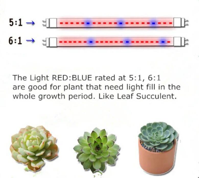 Plant Growth RED:BLUE /660nm:460nm LED Grow Light SMD5050 30LEDs 12V 7.2W Per Meter Strip