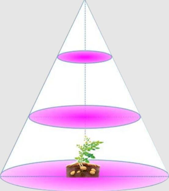 Plant Growth RED:BLUE /660nm:460nm LED Grow Light SMD5050 30LEDs 12V 7.2W Per Meter Strip