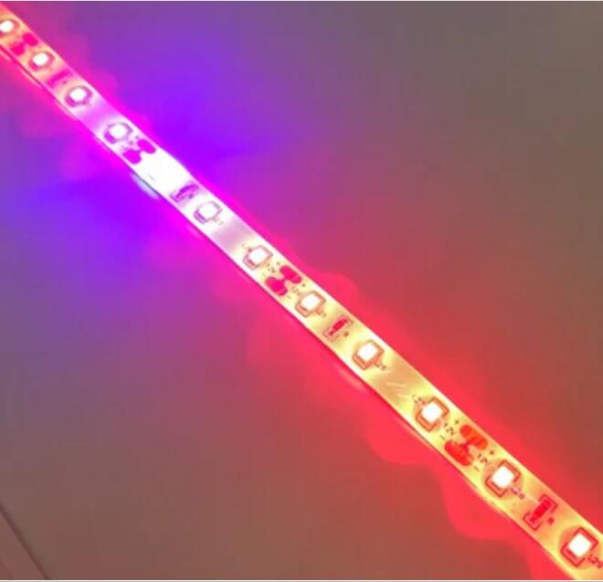 Plant Growth RED:BLUE /660nm:460nm LED Grow Light SMD2835 60LEDs 12V 12W Per Meter Strip