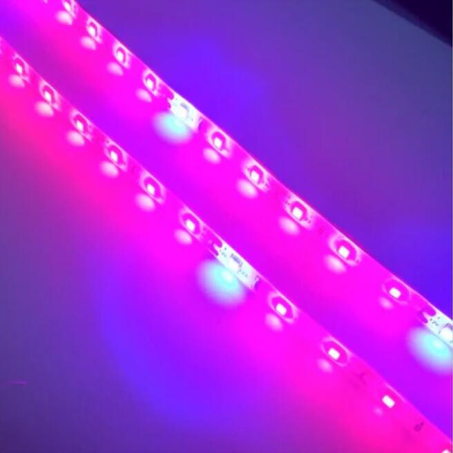 Plant Growth RED:BLUE /660nm:460nm LED Grow Light SMD2835 60LEDs 12V 12W Per Meter Strip