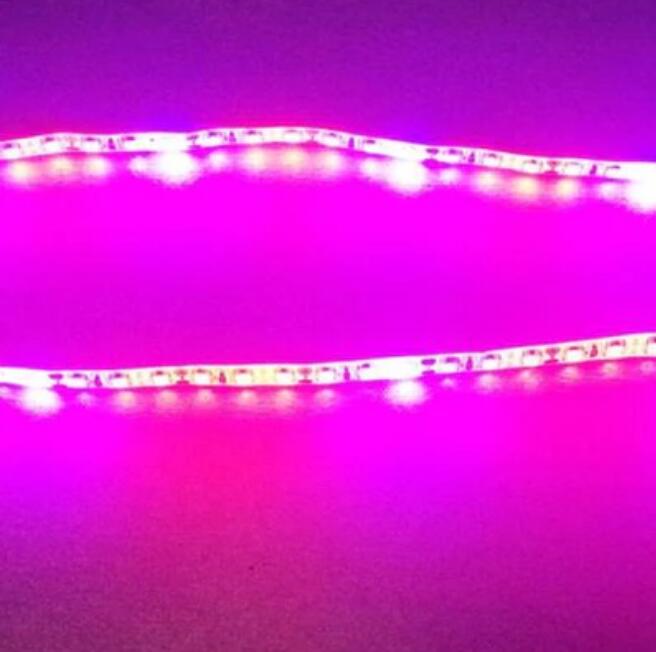 10Pcs 2/3/4 feet LED Tube T8 Grow Light Red/Blue Spectrum (R:B=5:1) Clear Lens for Indoor Plant Veg and Flower Hydroponic Greenhouse Growing Bar Light